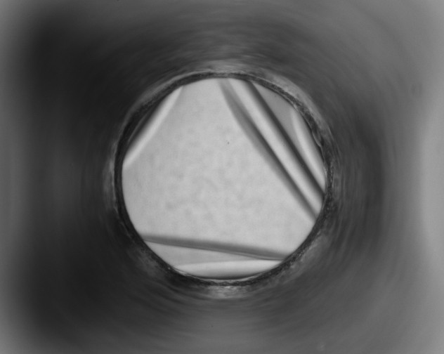 X0000087561176200705181119