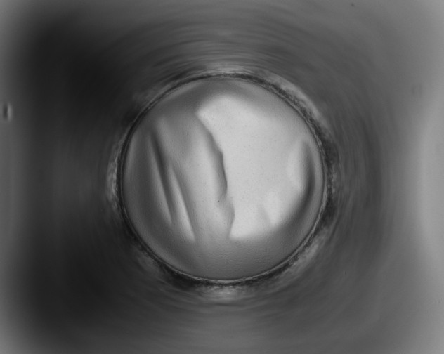 X0000087561177200705181119