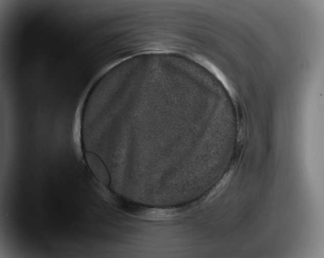 X0000087561179200705181119
