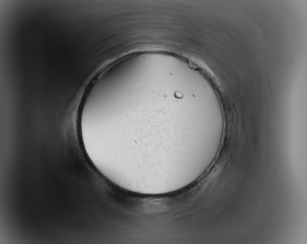 X0000087561181200705181119