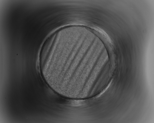 X0000087561184200705181119