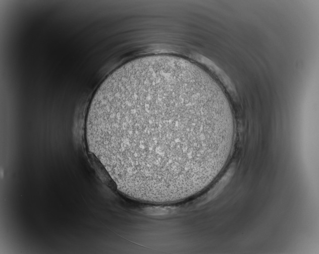 X0000087561185200705181119