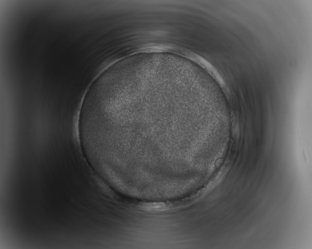 X0000087561186200705181119