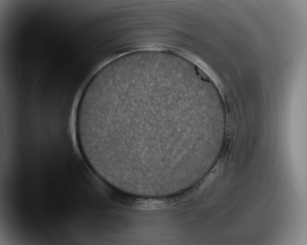 X0000087561187200705181119