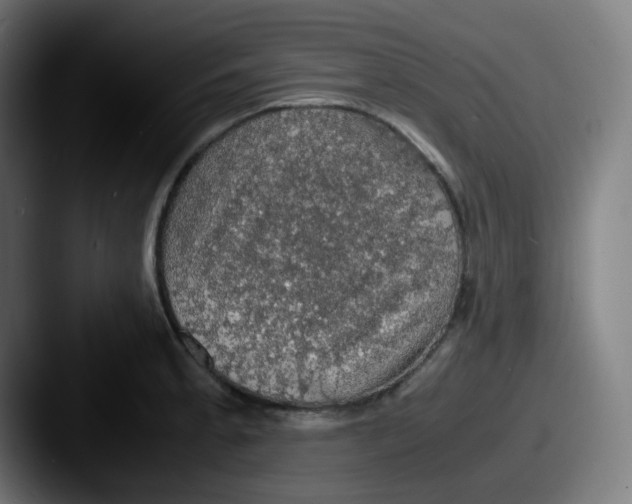 X0000087561189200705181119