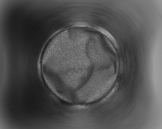 X0000087561190200705181119