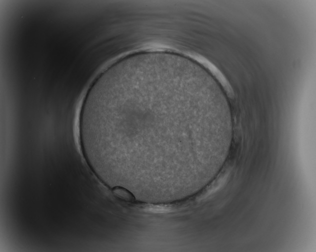 X0000087561191200705181119