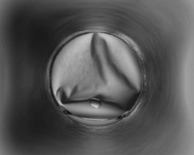 X0000087561192200705181119