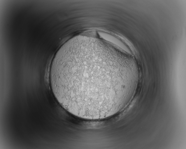 X0000087561193200705181119