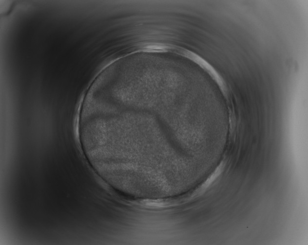 X0000087561194200705181119