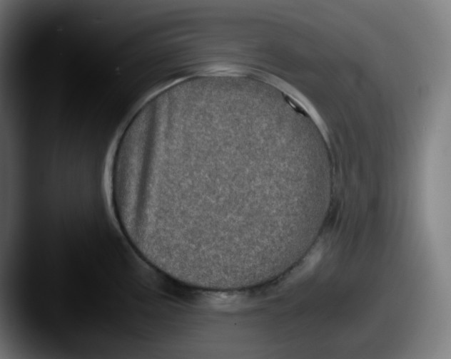 X0000087561195200705181119