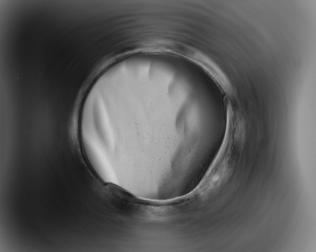 X0000087561196200705181119