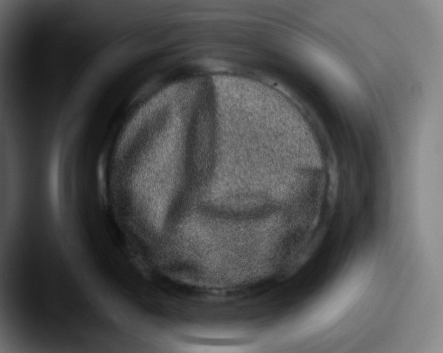 X0000087561198200705181119