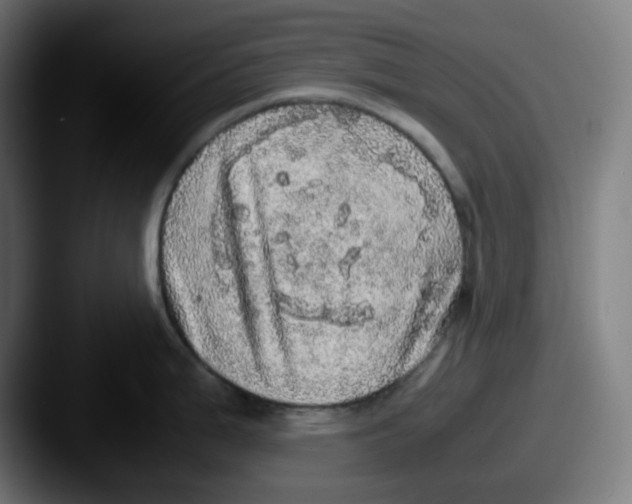 X0000087561199200705181119