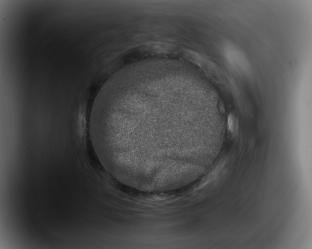 X0000087561203200705181118