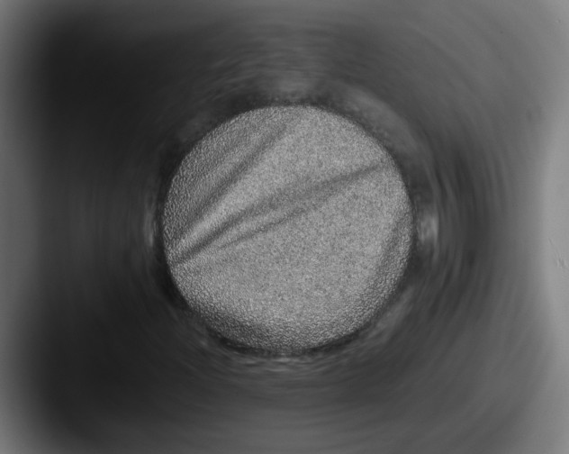 X0000087561204200705181118