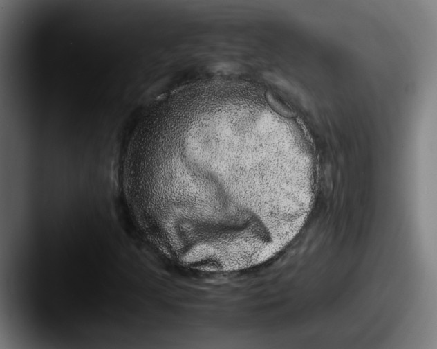 X0000087561205200705181118