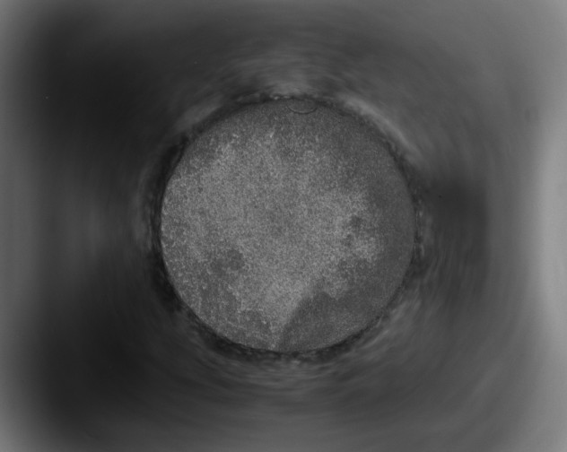 X0000087561207200705181118