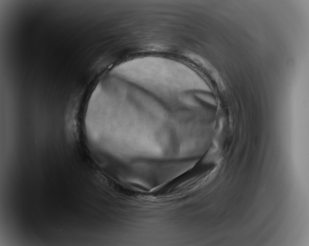 X0000087561210200705181118