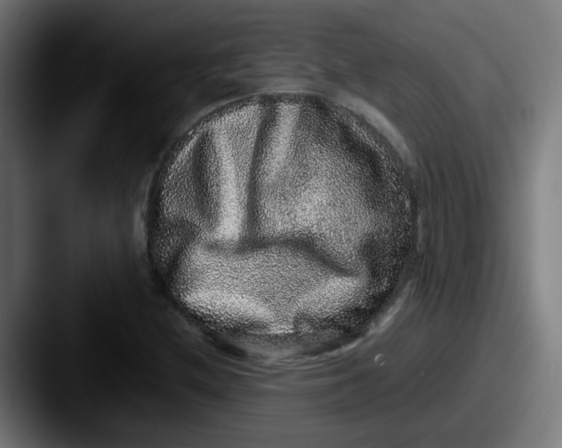 X0000087561212200705181118