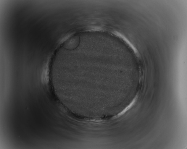 X0000087561213200705181118