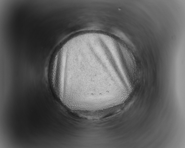 X0000087561216200705181118