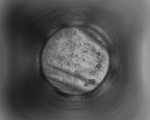 X0000087561217200705181118