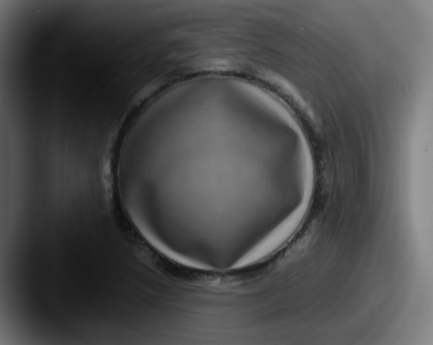 X0000087561218200705181118