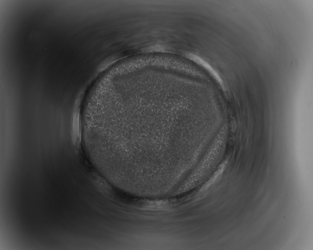 X0000087561219200705181118