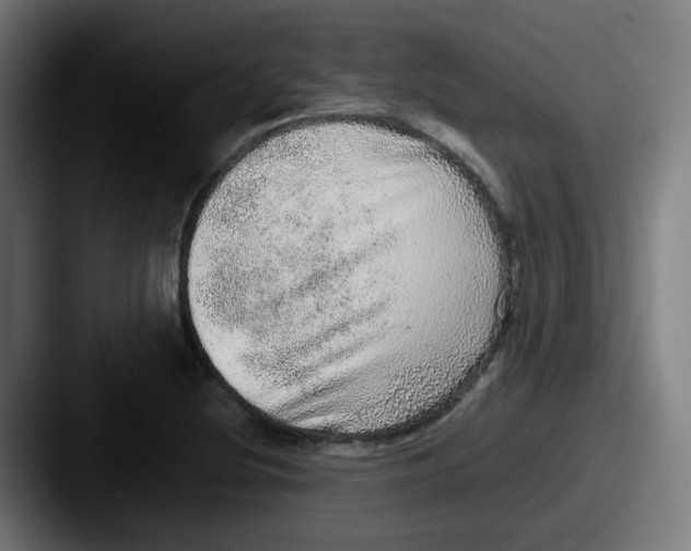 X0000087561220200705181118