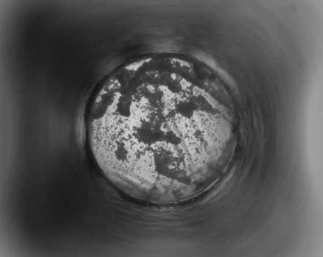 X0000087561221200705181118
