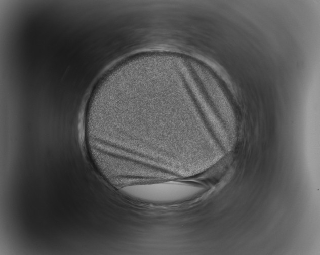 X0000087561224200705181118