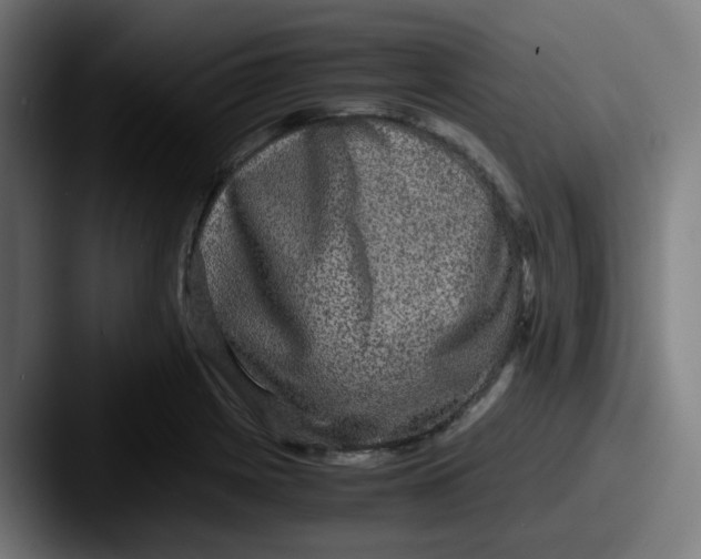 X0000087561225200705181118