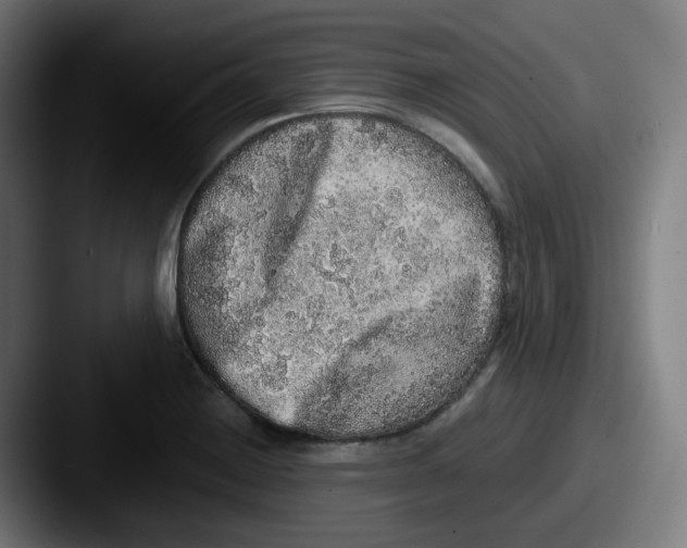 X0000087561228200705181118