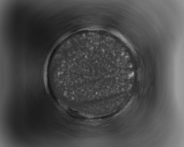 X0000087561229200705181118