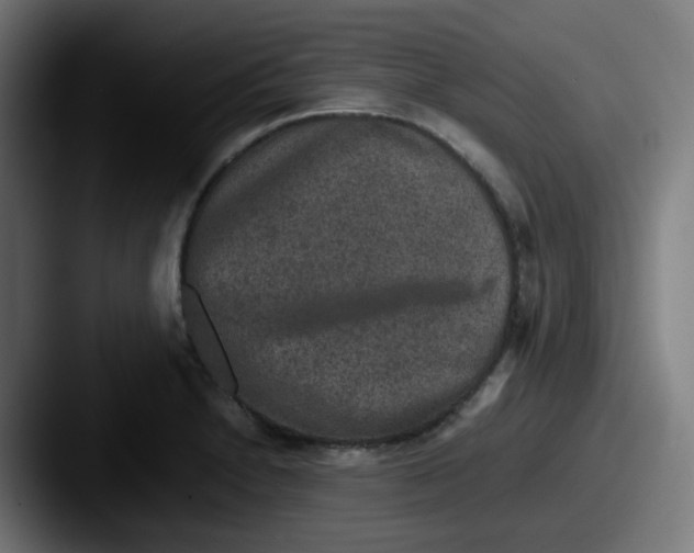 X0000087561230200705181118