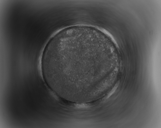 X0000087561231200705181118