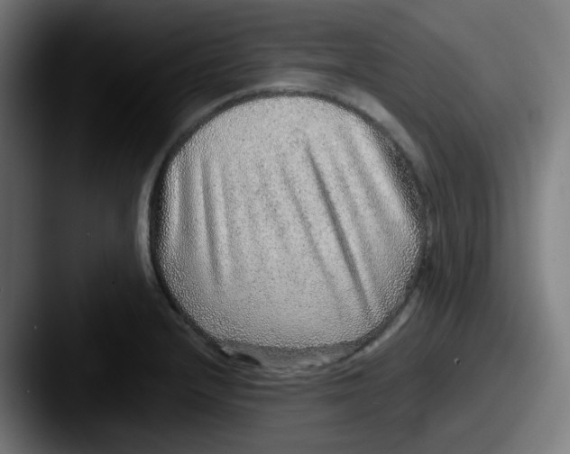 X0000087561232200705181118
