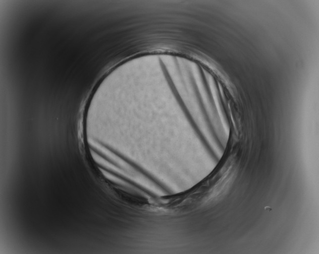 X0000087561234200705181118