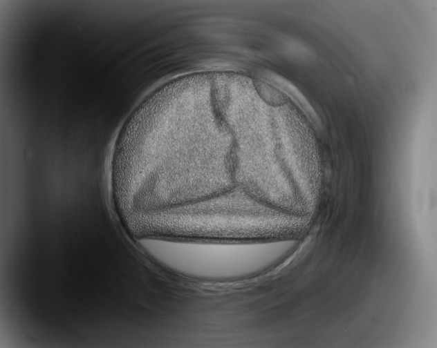 X0000087561236200705181119