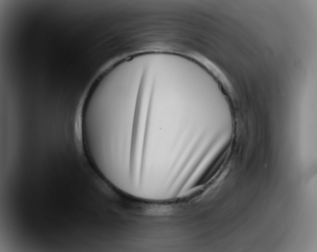 X0000087561238200705181119