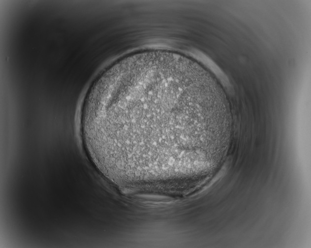 X0000087561240200705181119