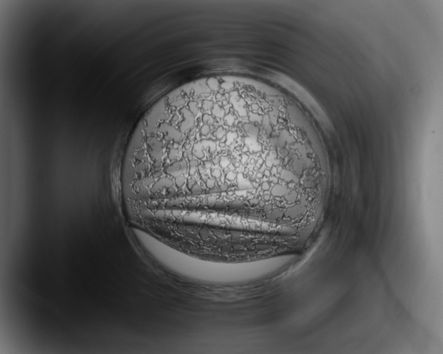 X0000087561241200705181119