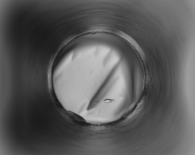X0000087561242200705181119