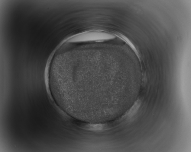 X0000087561243200705181119