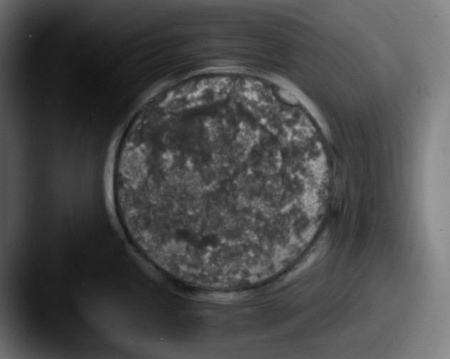 X0000087561245200705181119