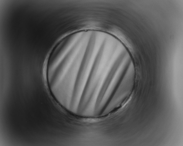 X0000087561246200705181119