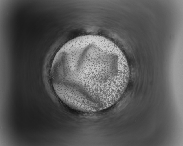 X0000087561249200705181118