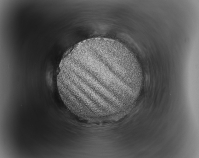 X0000087561250200705181118