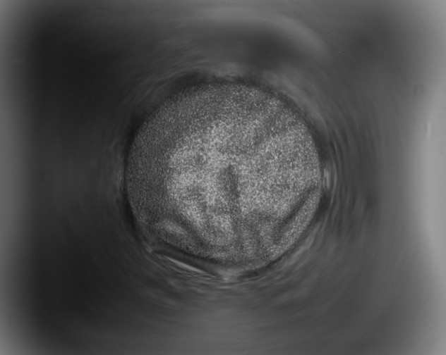 X0000087561251200705181118